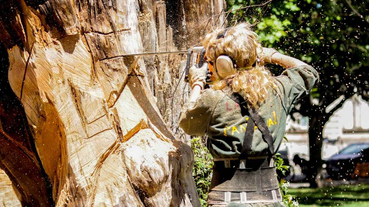 Best Tree Cutting Near Me  in White City, FL